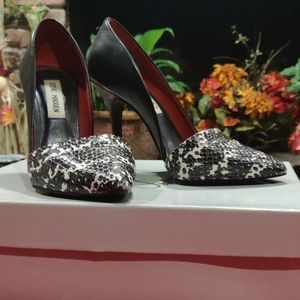 Steve Madden pointed toe heels